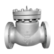 Check Valve