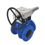 Plug Valve